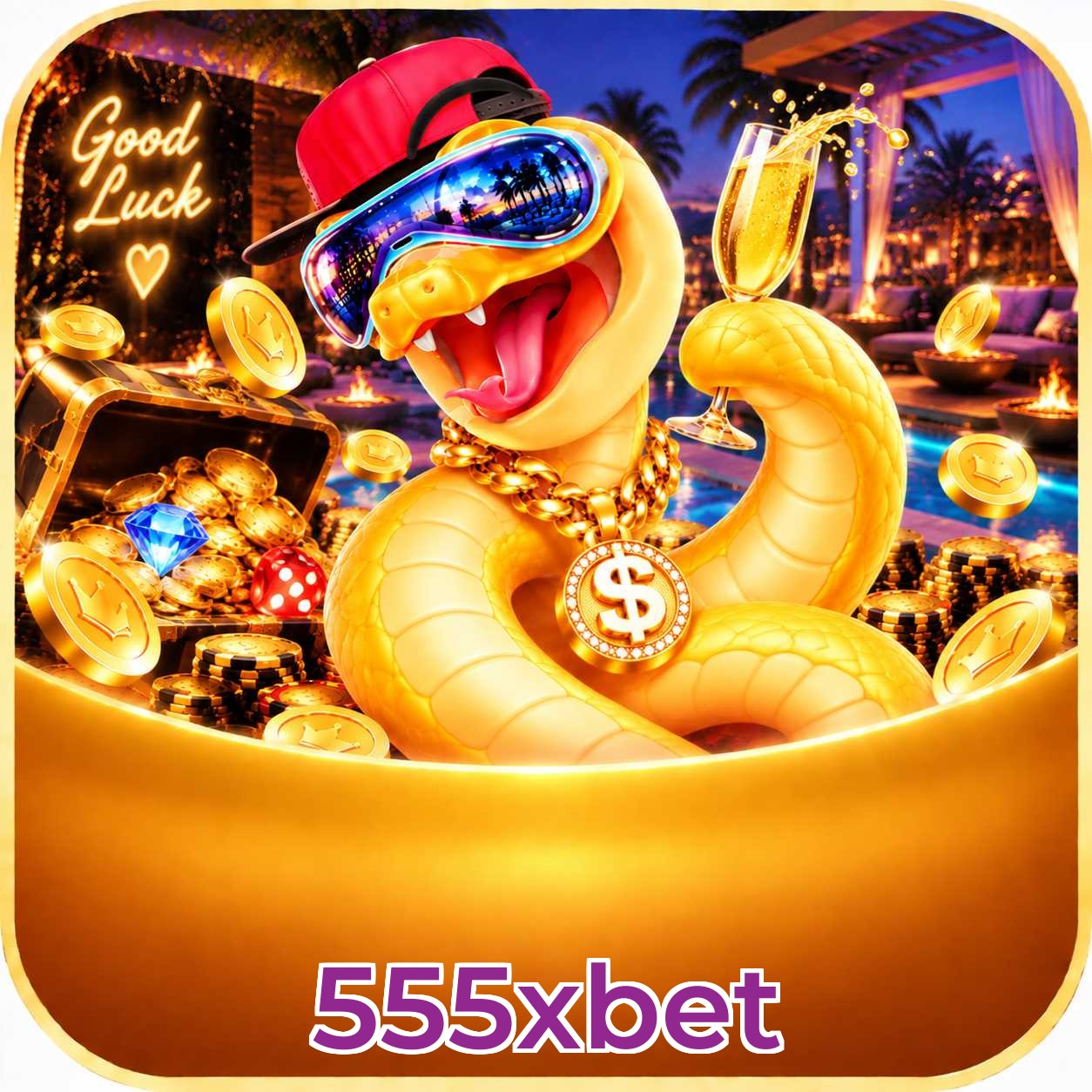 555xbet App Features