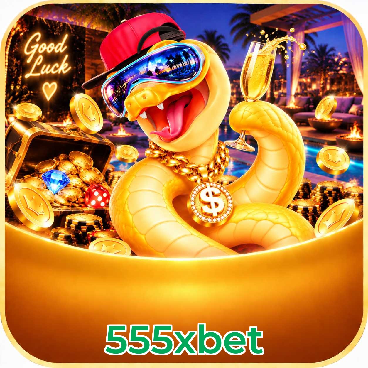 555xbet Plataforma FAQ